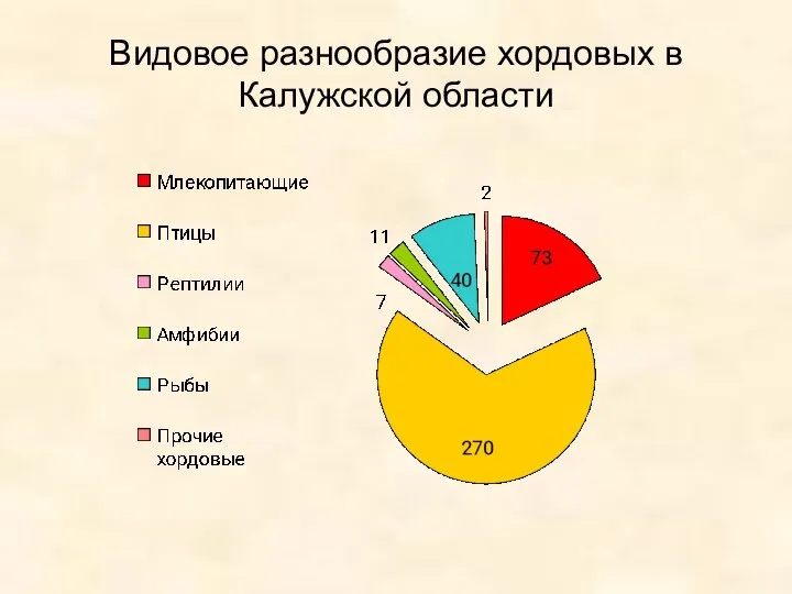 Видовое разнообразие хордовых в Калужской области