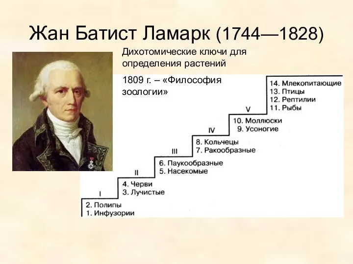 Жан Батист Ламарк (1744—1828) Дихотомические ключи для определения растений 1809 г. – «Философия зоологии»