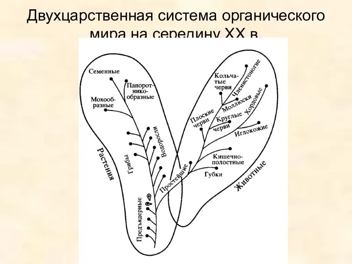 Двухцарственная система органического мира на середину ХХ в.