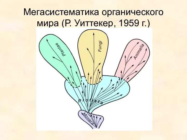 Мегасистематика органического мира (Р. Уиттекер, 1959 г.)