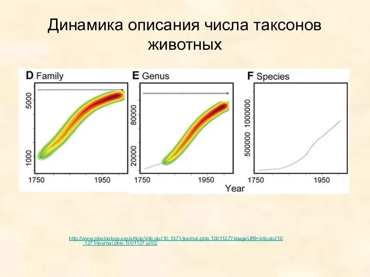 Динамика описания числа таксонов животных http://www.plosbiology.org/article/info:doi/10.1371/journal.pbio.1001127?imageURI=info:doi/10.1371/journal.pbio.1001127.g002