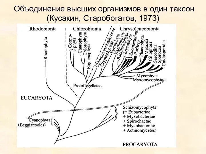 Объединение высших организмов в один таксон (Кусакин, Старобогатов, 1973)