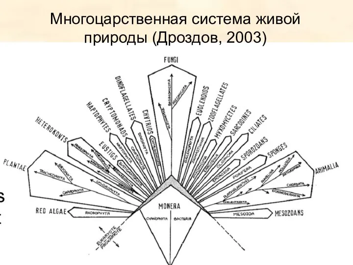 Многоцарственная система живой природы (Дроздов, 2003)