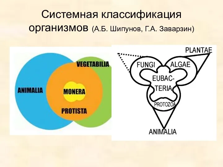 Системная классификация организмов (А.Б. Шипунов, Г.А. Заварзин)