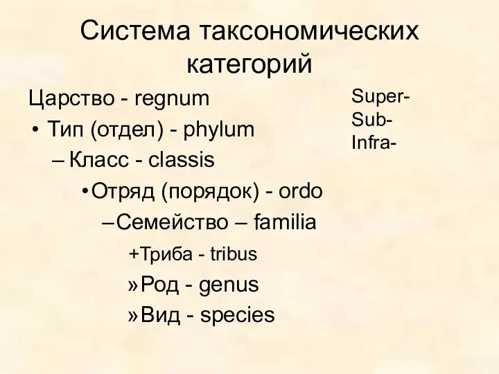 Система таксономических категорий Царство - regnum Тип (отдел) - phylum Класс