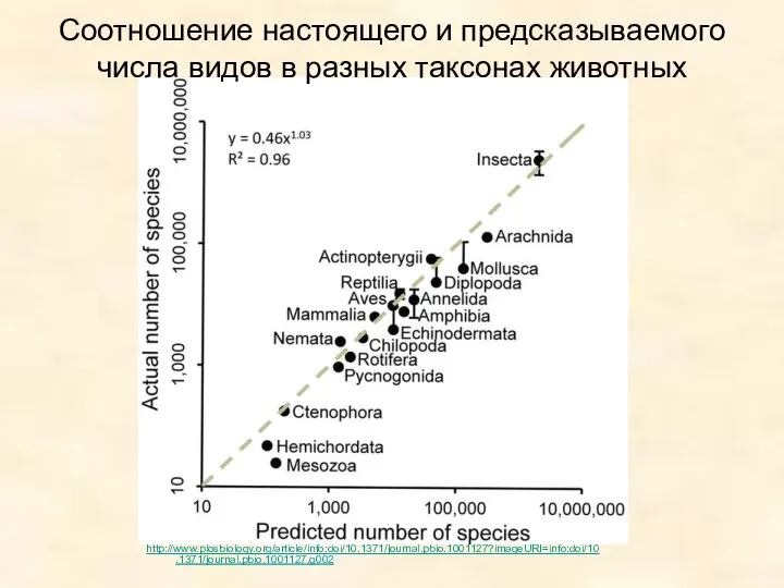 http://www.plosbiology.org/article/info:doi/10.1371/journal.pbio.1001127?imageURI=info:doi/10.1371/journal.pbio.1001127.g002 Соотношение настоящего и предсказываемого числа видов в разных таксонах животных