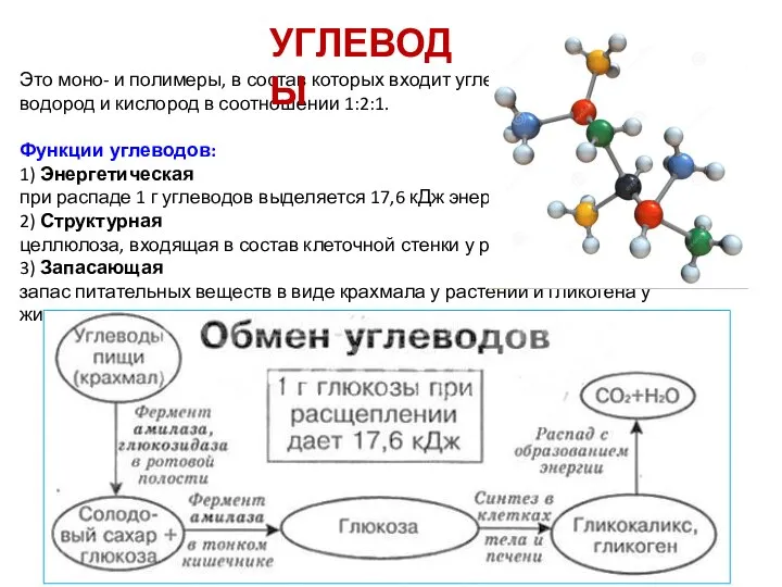 Это моно- и полимеры, в состав которых входит углерод, водород и