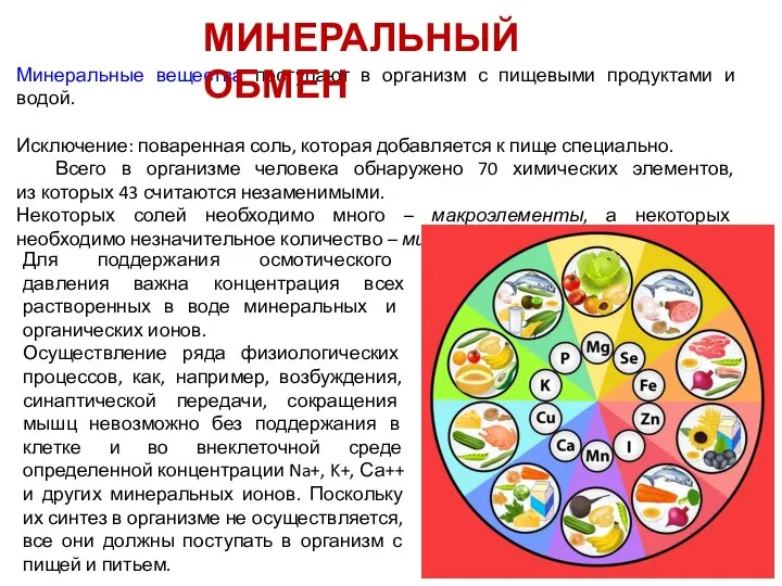 Минеральные вещества поступают в организм с пищевыми продуктами и водой. Исключение: