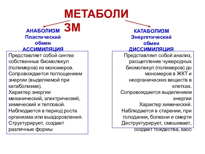 МЕТАБОЛИЗМ АНАБОЛИЗМ Пластический обмен АССИМИЛЯЦИЯ КАТАБОЛИЗМ Энергетический обмен ДИССИМИЛЯЦИЯ Представляет собой