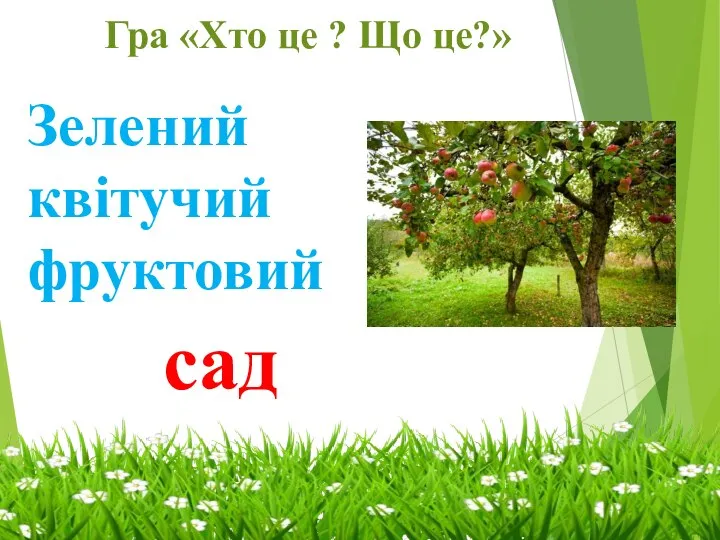 Гра «Хто це ? Що це?» Зелений квітучий фруктовий сад