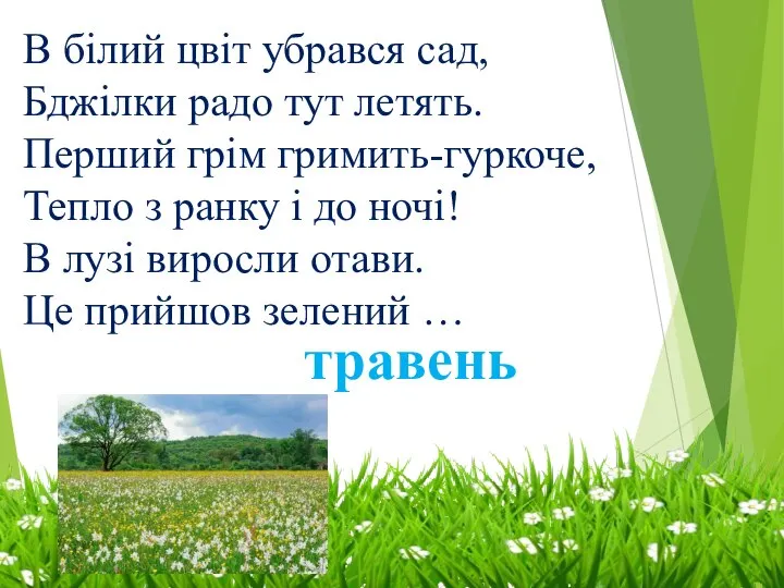 В білий цвіт убрався сад, Бджілки радо тут летять. Перший грім