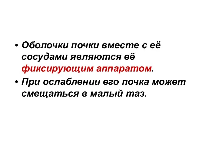 Оболочки почки вместе с её сосудами являются её фиксирующим аппаратом. При