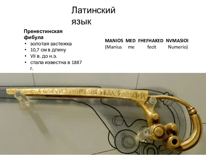 Латинский язык Пренестинская фибула золотая застежка 10,7 см в длину VII