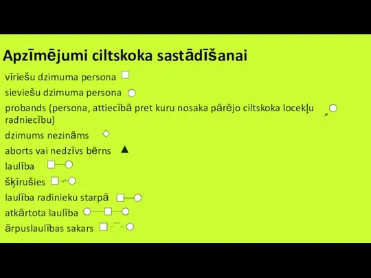 Apzīmējumi ciltskoka sastādīšanai vīriešu dzimuma persona sieviešu dzimuma persona probands (persona,