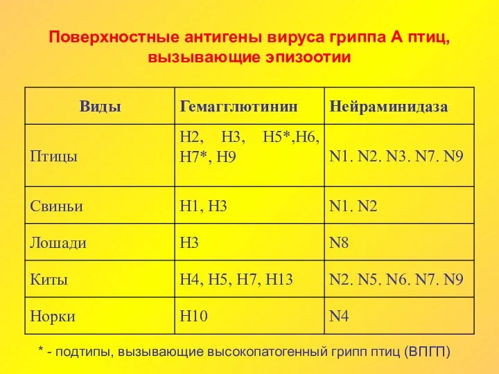 Поверхностные антигены вируса гриппа А птиц, вызывающие эпизоотии * - подтипы, вызывающие высокопатогенный грипп птиц (ВПГП)