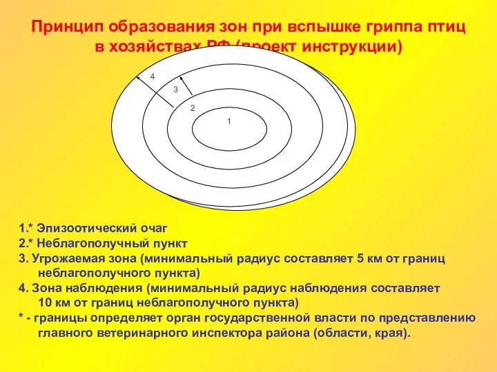 Принцип образования зон при вспышке гриппа птиц в хозяйствах РФ (проект