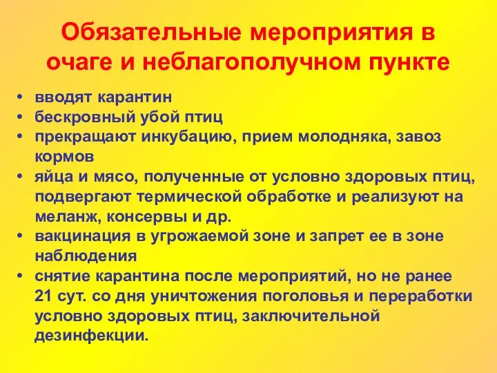 Обязательные мероприятия в очаге и неблагополучном пункте вводят карантин бескровный убой