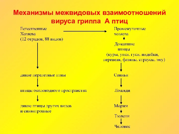 Механизмы межвидовых взаимоотношений вируса гриппа А птиц