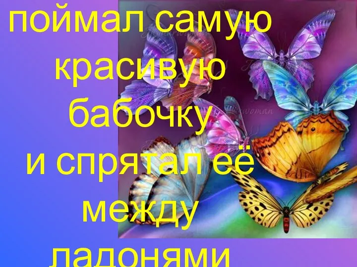 поймал самую красивую бабочку и спрятал её между ладонями