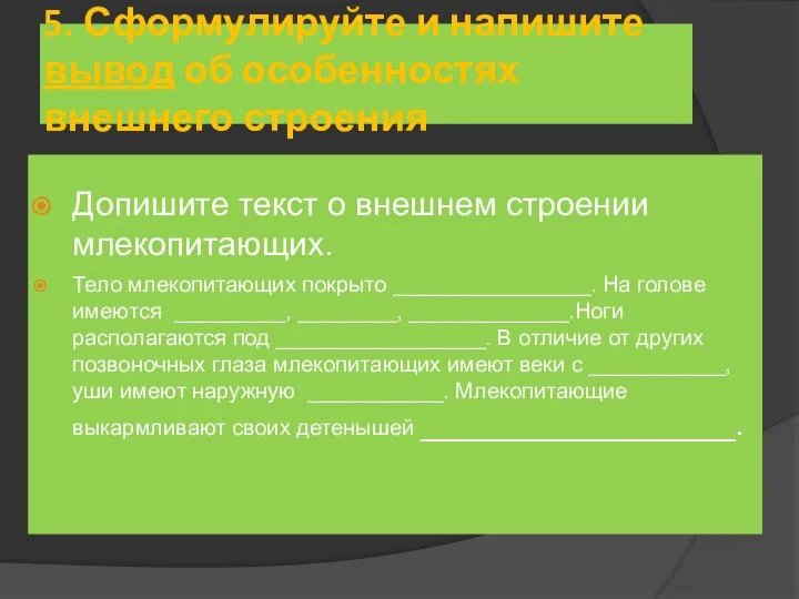 5. Сформулируйте и напишите вывод об особенностях внешнего строения млекопитающего. Допишите