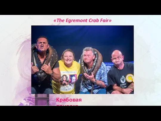 Крабовая ярмарка «The Egremont Crab Fair»