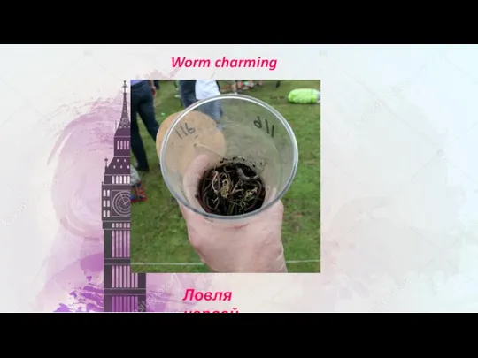 Worm charming Ловля червей