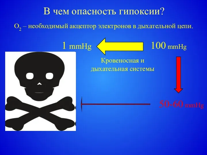 В чем опасность гипоксии? 1 mmHg 100 mmHg 50-60 mmHg Кровеносная