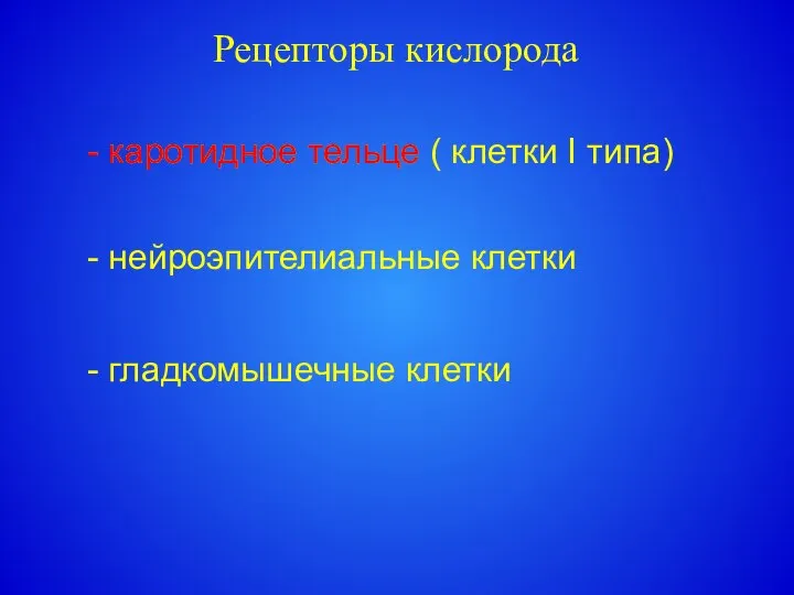 Рецепторы кислорода - каротидное тельце ( клетки I типа) - нейроэпителиальные