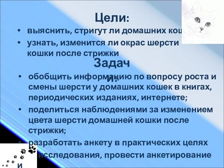 Цели: выяснить, стригут ли домашних кошек; узнать, изменится ли окрас шерсти