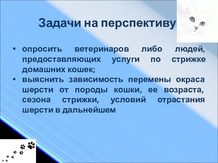 Задачи на перспективу: опросить ветеринаров либо людей, предоставляющих услуги по стрижке