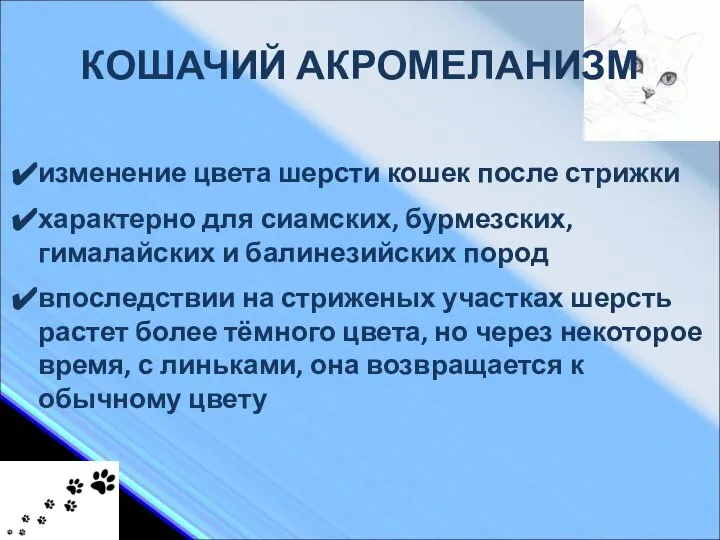 КОШАЧИЙ АКРОМЕЛАНИЗМ изменение цвета шерсти кошек после стрижки характерно для сиамских,