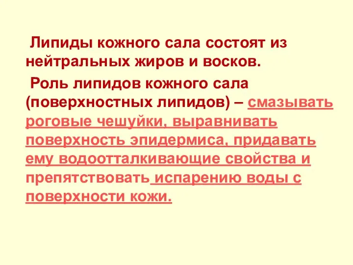 Липиды кожного сала состоят из нейтральных жиров и восков. Роль липидов