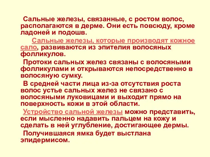 Сальные железы, связанные, с ростом волос, располагаются в дерме. Они есть