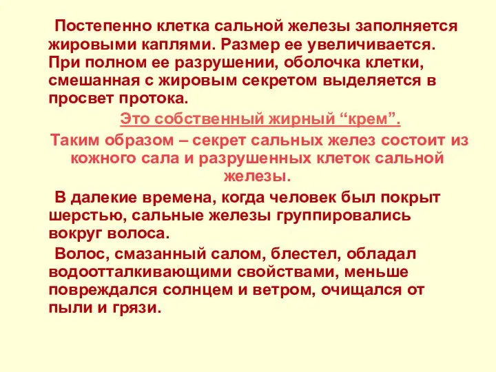 Постепенно клетка сальной железы заполняется жировыми каплями. Размер ее увеличивается. При