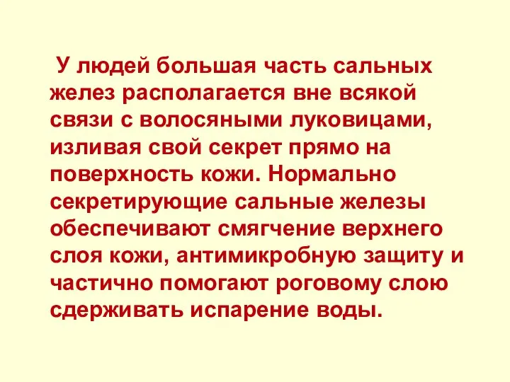 У людей большая часть сальных желез располагается вне всякой связи с