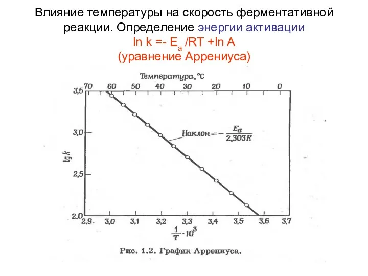 Влияние температуры на скорость ферментативной реакции. Определение энергии активации ln k