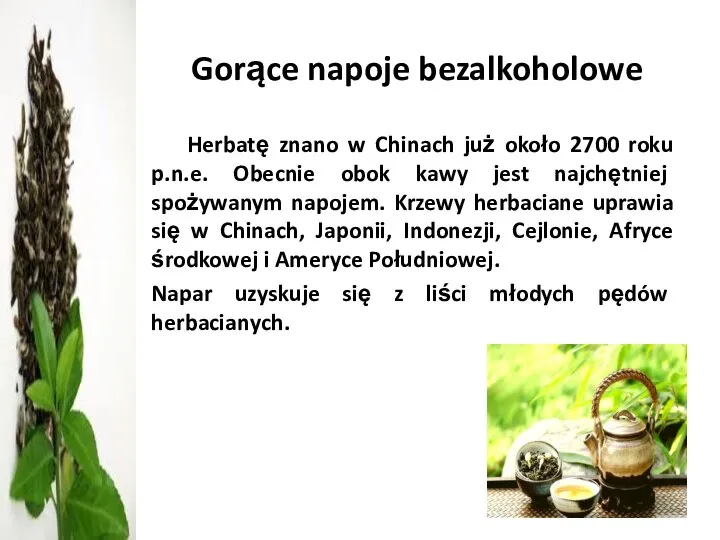 Gorące napoje bezalkoholowe Herbatę znano w Chinach już około 2700 roku