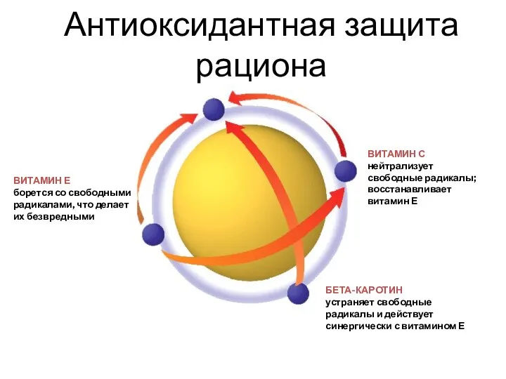 БЕТА-КАРОТИН устраняет свободные радикалы и действует синергически с витамином Е ВИТАМИН