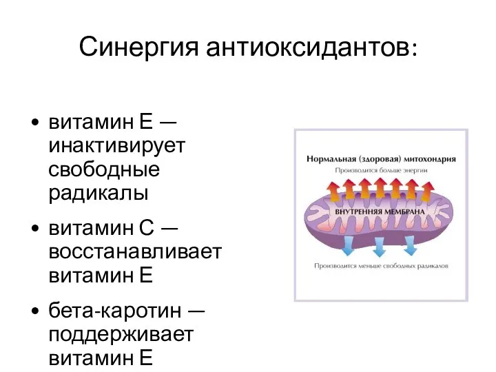 Синергия антиоксидантов: витамин Е — инактивирует свободные радикалы витамин С —