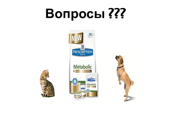 Вопросы ???