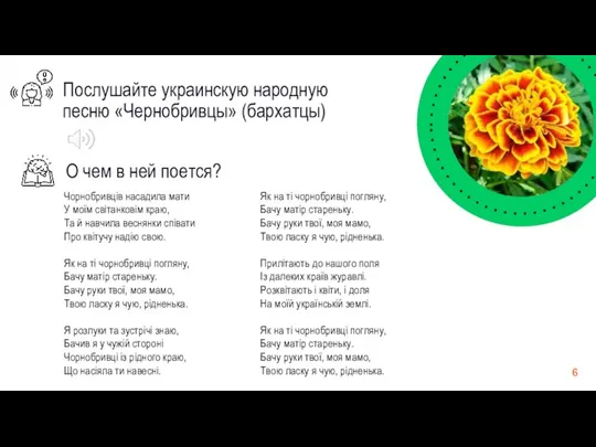 Послушайте украинскую народную песню «Чернобривцы» (бархатцы) Як на ті чорнобривці погляну,