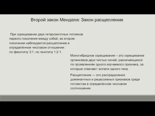 Второй закон Менделя: Закон расщепления При скрещивании двух гетерозиготных потомков первого