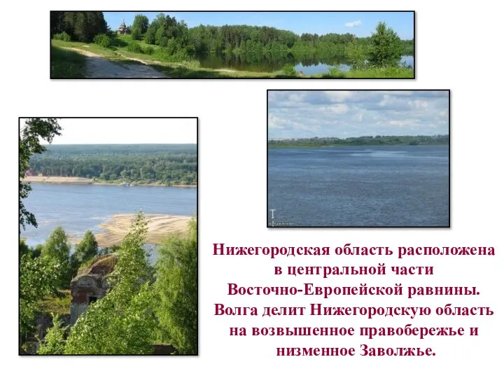 Нижегородская область расположена в центральной части Восточно-Европейской равнины. Волга делит Нижегородскую