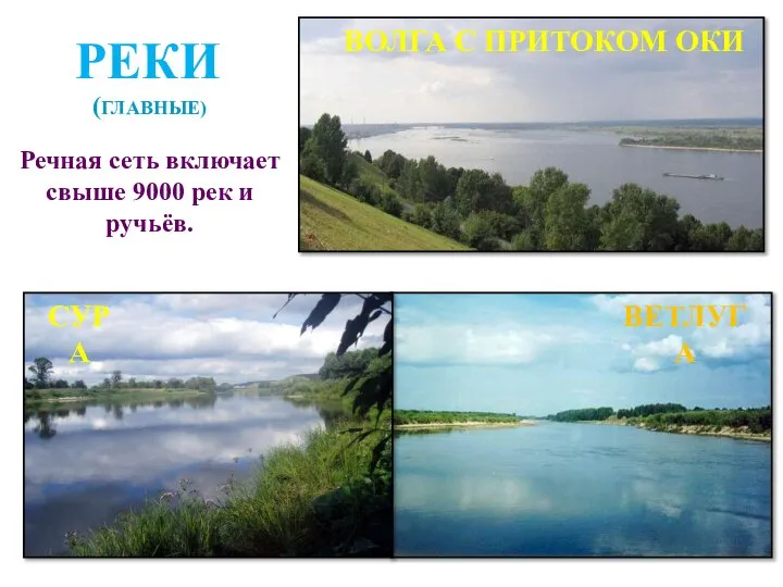 РЕКИ ВОЛГА С ПРИТОКОМ ОКИ СУРА ВЕТЛУГА (ГЛАВНЫЕ) Речная сеть включает свыше 9000 рек и ручьёв.