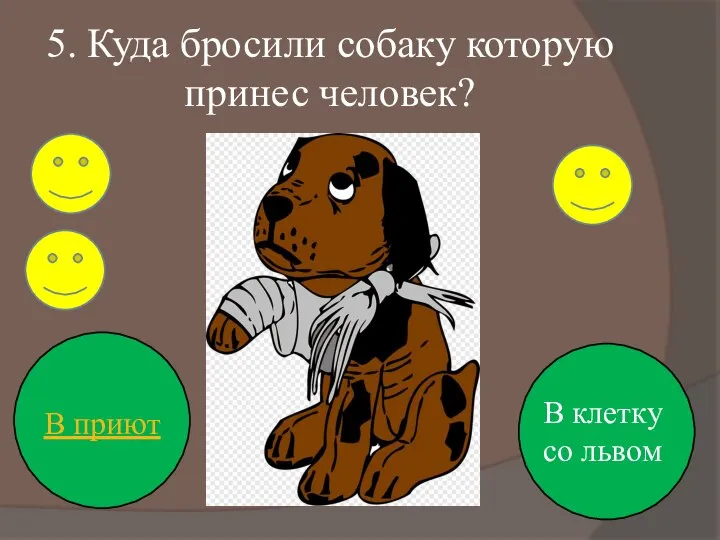 5. Куда бросили собаку которую принес человек? В приют В клетку со львом