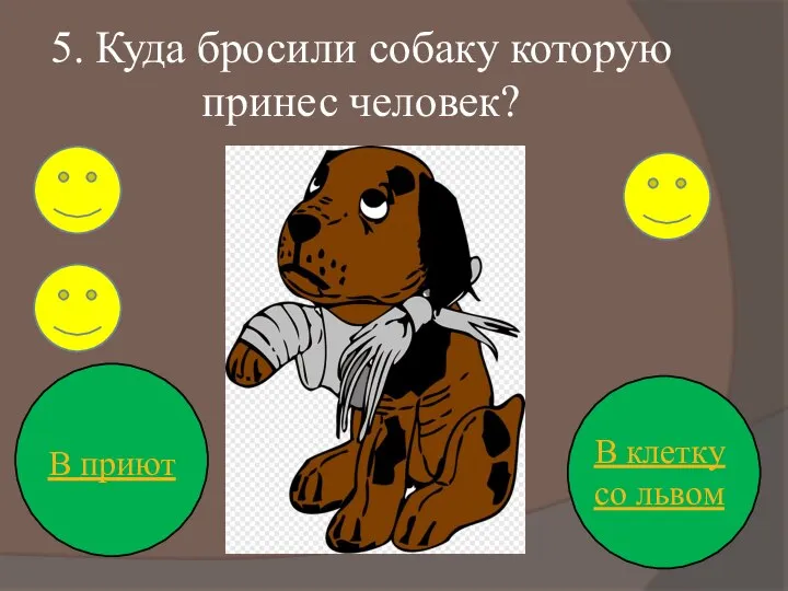 5. Куда бросили собаку которую принес человек? В приют В клетку со львом