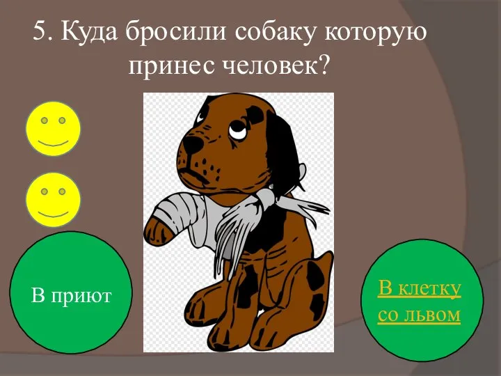 5. Куда бросили собаку которую принес человек? В приют В клетку со львом