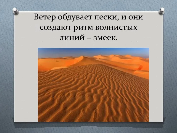 Ветер обдувает пески, и они создают ритм волнистых линий – змеек.