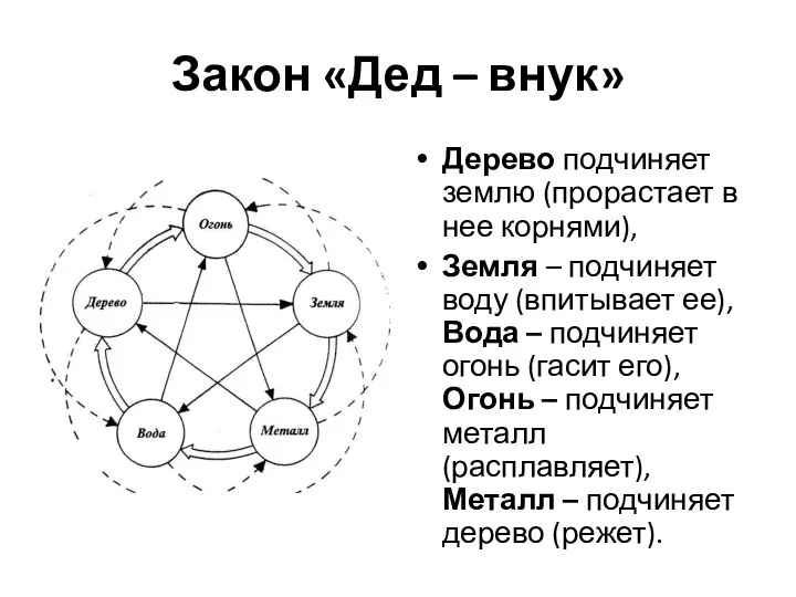 Закон «Дед – внук» Дерево подчиняет землю (прорастает в нее корнями),