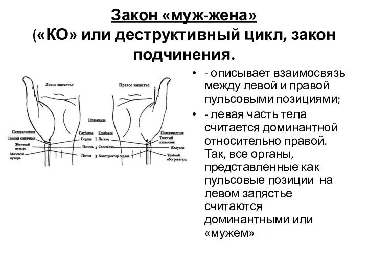 Закон «муж-жена» («КО» или деструктивный цикл, закон подчинения. - описывает взаимосвязь